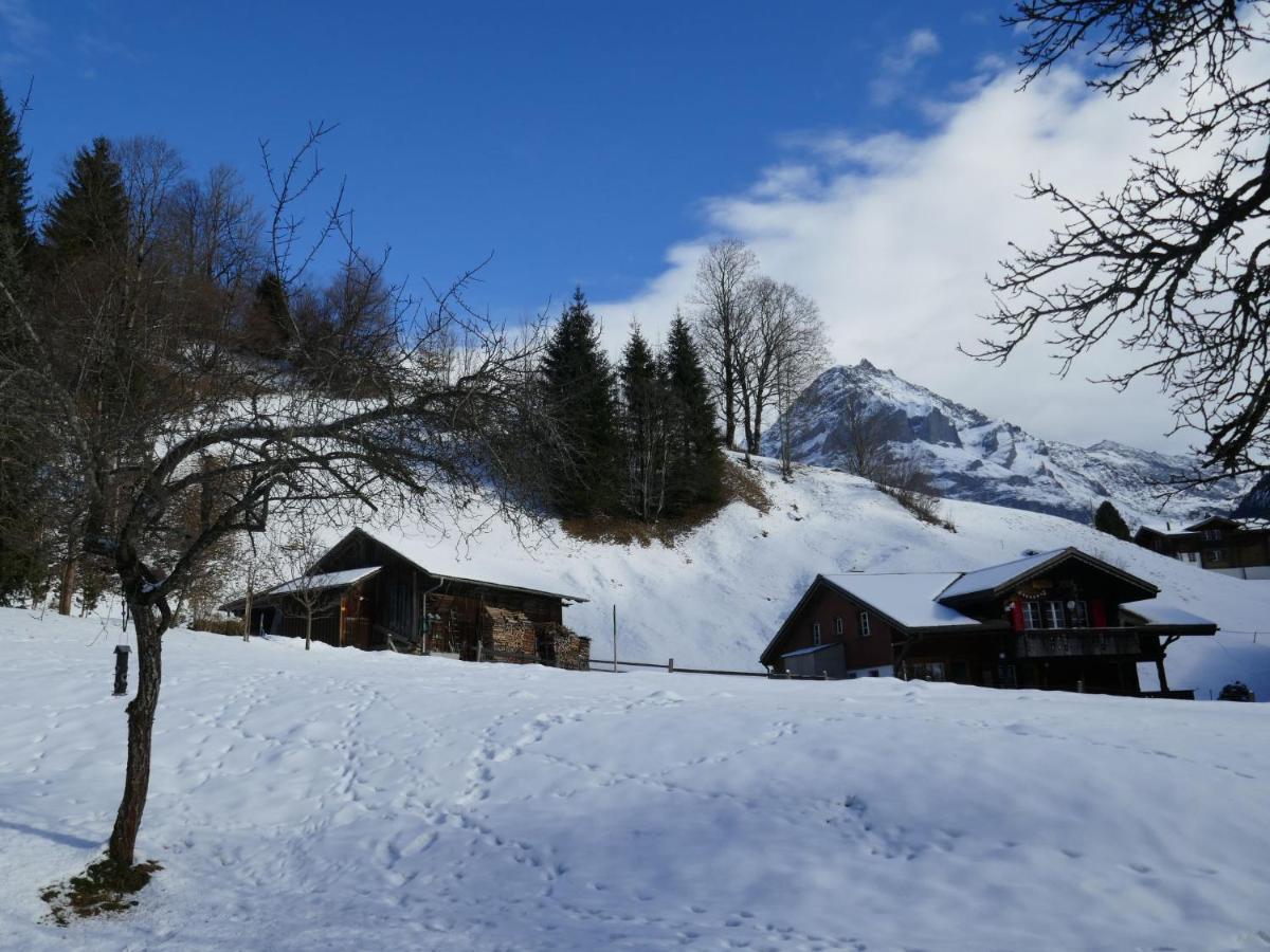 Apartment Chalet Schwendihus-10 By Interhome Grindelwald Zewnętrze zdjęcie